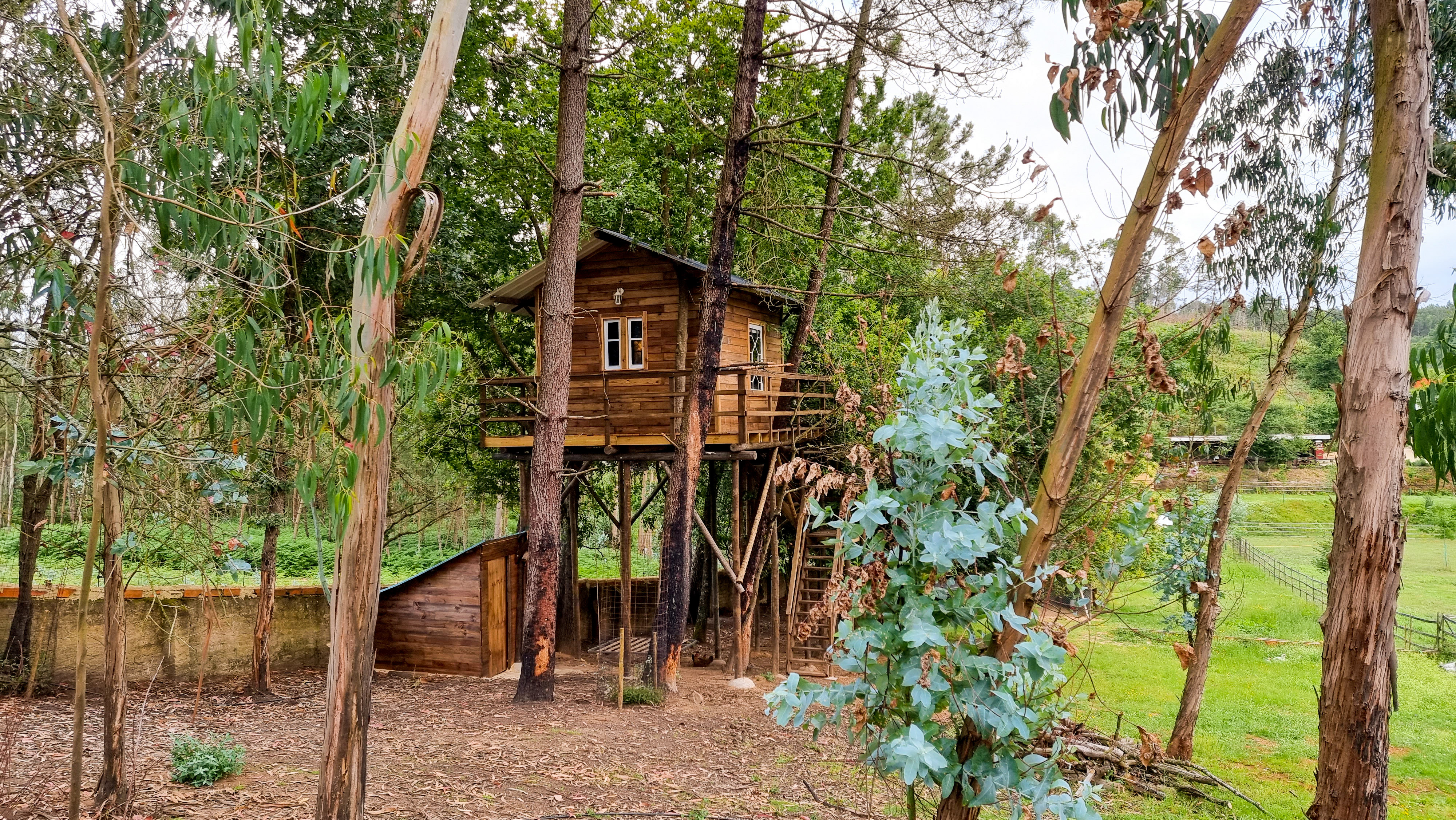 Tree House Alameda