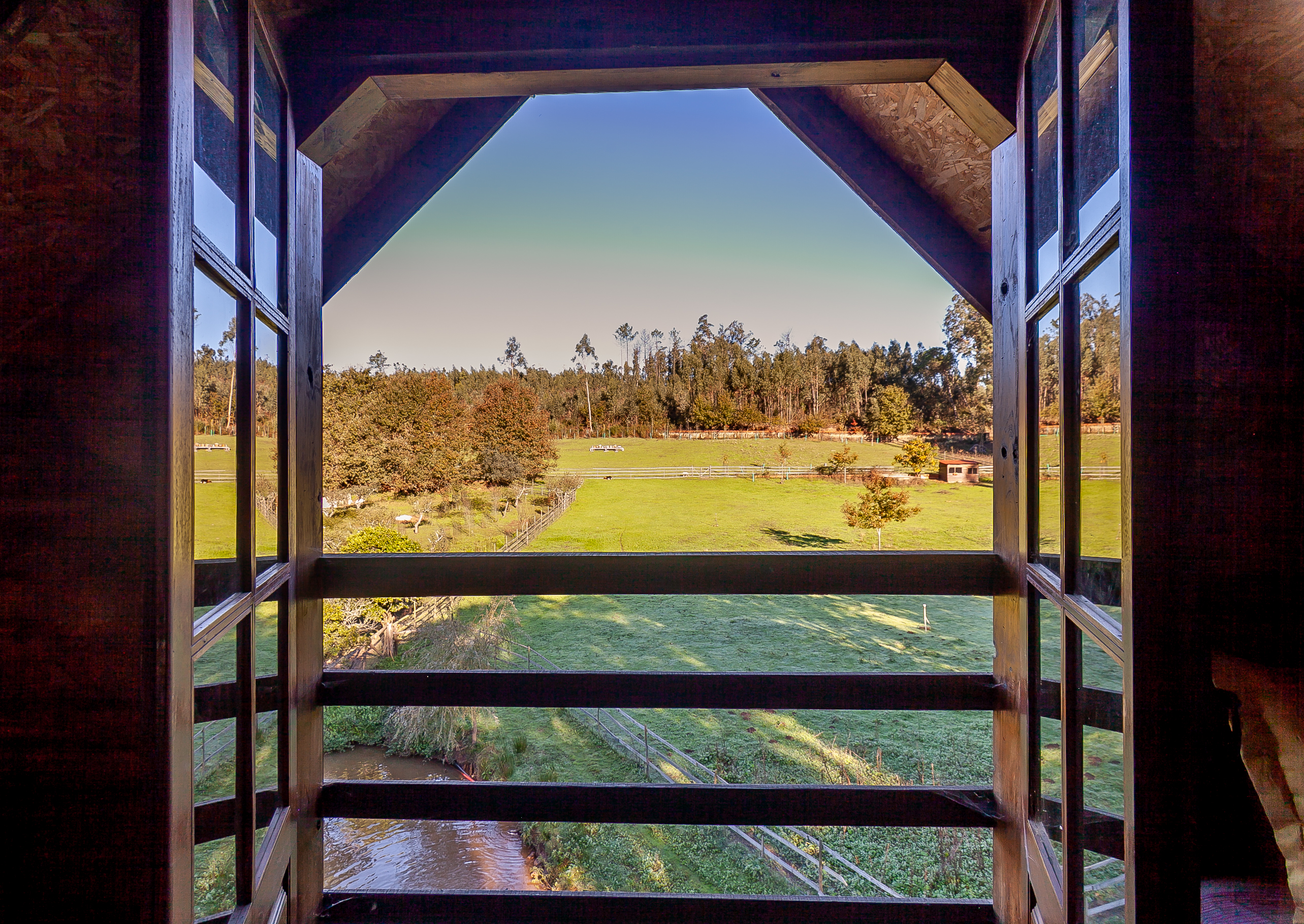 Window view over the fields