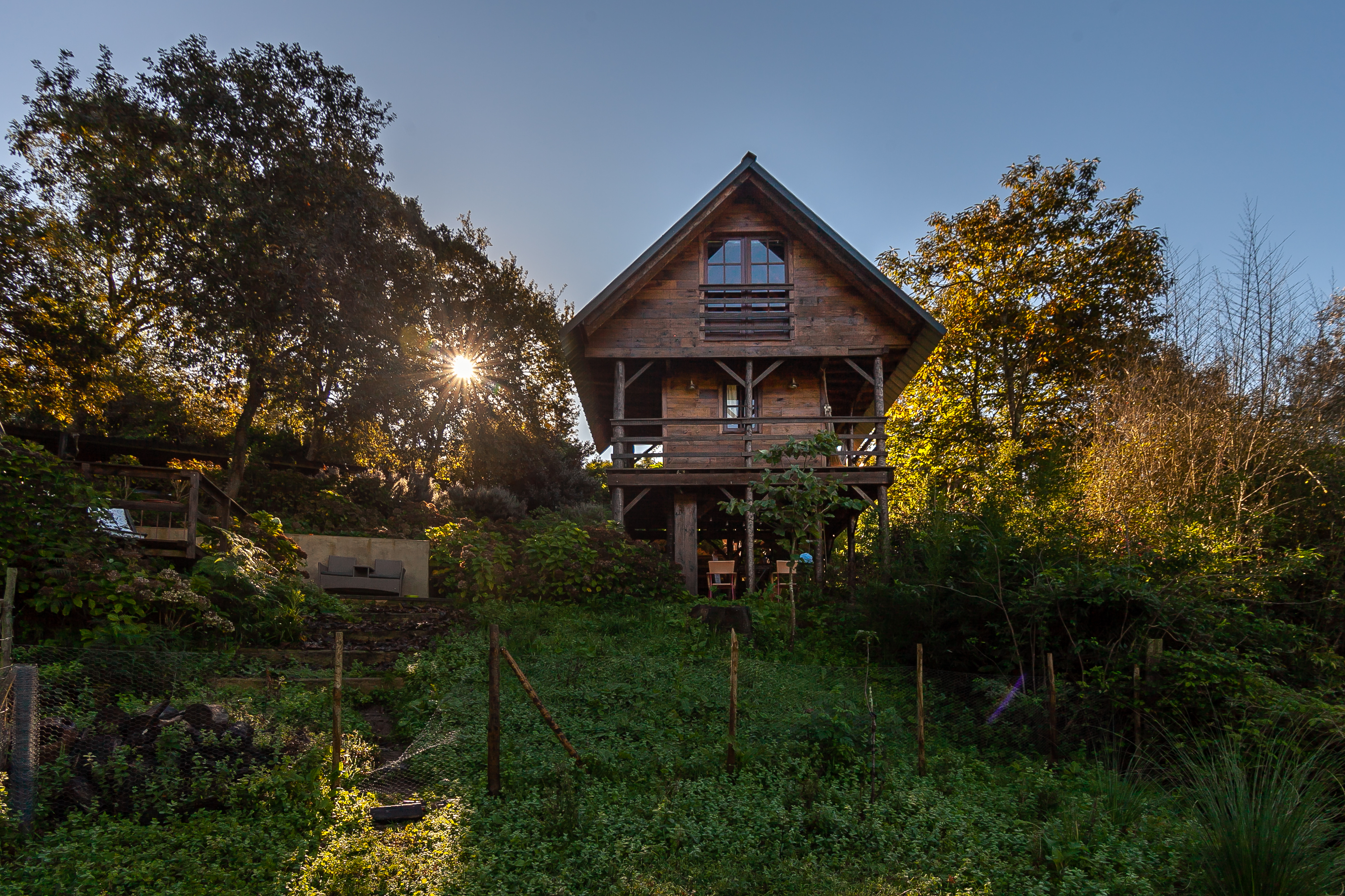 Stilt Tree House